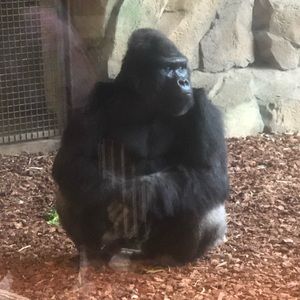 Meet your Posher, Zach